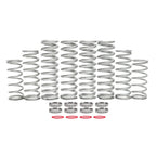 Polaris RZR Turbo S Dual Rate Spring Kits